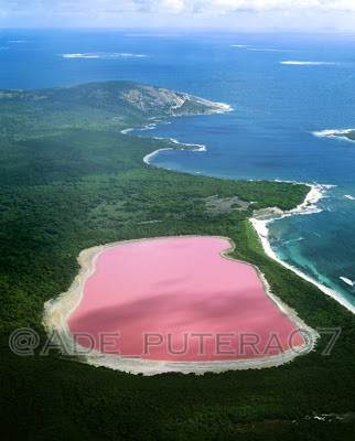 Danau Merah Muda, Hiller, Australia Barat - Daftar Foto Fenomena Alam Yang Luar Biasa