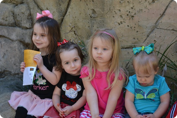 DSC_0772 DSC_0772