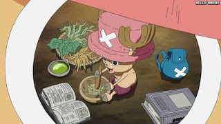 ワンピースアニメ 魚人島編 557話 チョッパー Tony Tony Chopper | ONE PIECE Episode 557