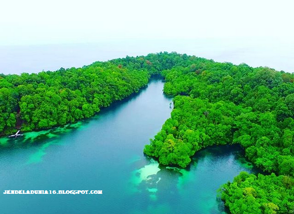 [http://FindWisata.blogspot.com] Mengeksplor Pesona Danau Kakaban, Danau Ubur-Ubur Kepulauan Derawan Kalimantan Timur