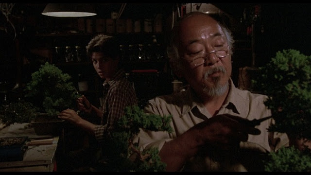 Daniel and Mr. Miyagi work on bonsai trees