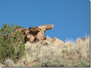 2012-04-27 Little Book Cliffs, Cameo,  CO (26)