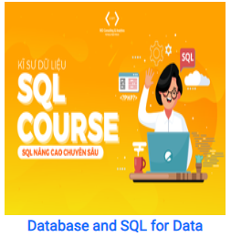 Chia Sẻ SQL for Newbies Data Analysis for Beginners