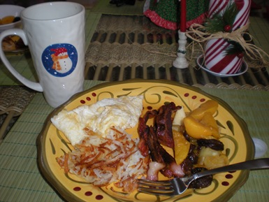 Christmas 2008 003