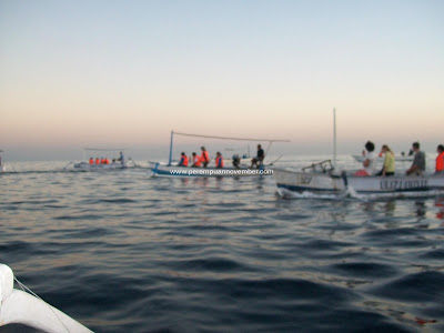 INDAHNYA SUNSET, SUNRISE, DAN LUMBA-LUMBA DI PANTAI LOVINA-BALI