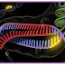 CRISPR-Cas9: A popularização da edição genética!