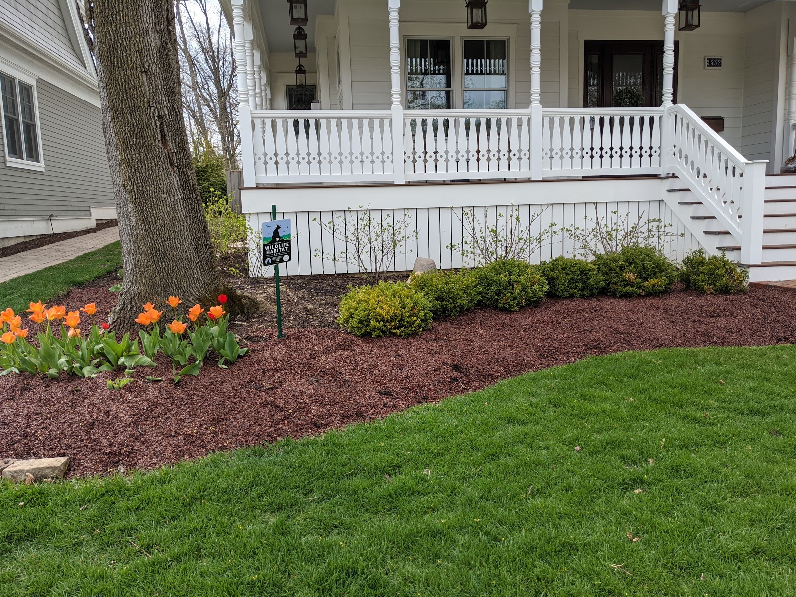 Image of Cocoa bean mulch in rock garden