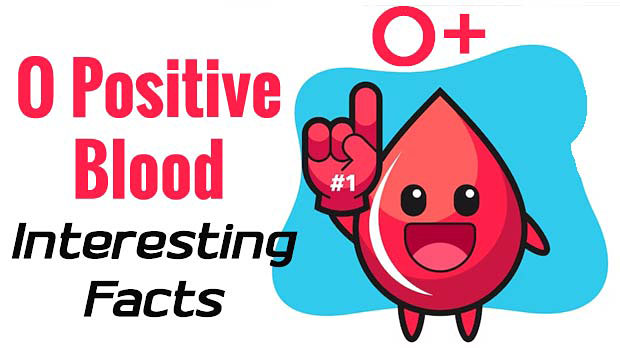 10 Interesting Facts to O Positive Blood Type | Blow Your Mind