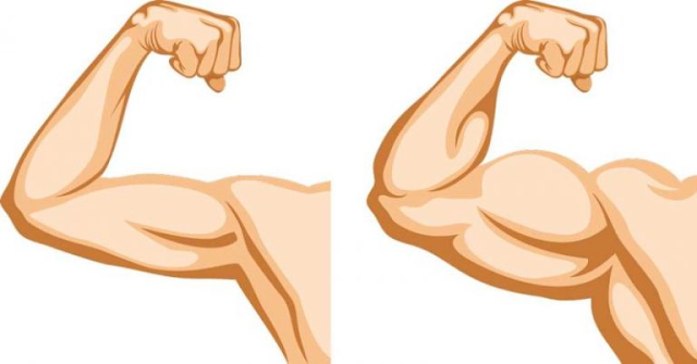 Get Bigger Biceps With These 8 Arm Exercises