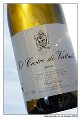 El-Castro-de-Valtuille-Godello-2016