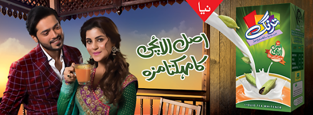 Asal Elaichi ka Mehakta Maza - Tarang Elaichi Print AD featuring Fahad Mustafa & Sohai Ali Abro 