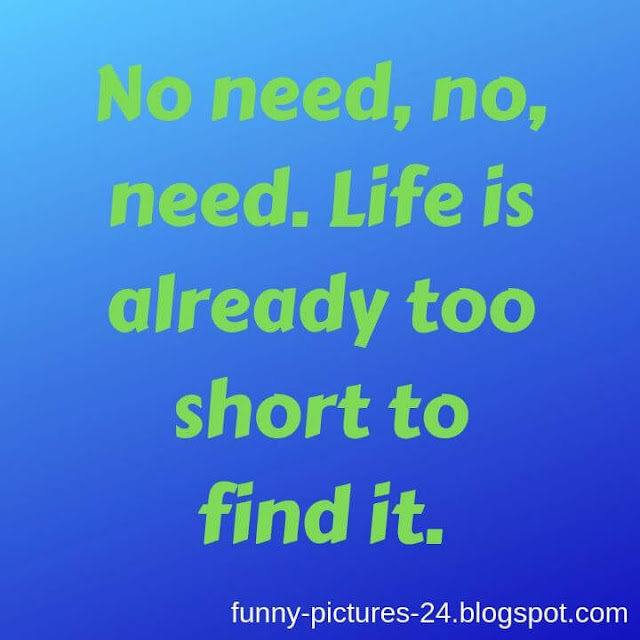 Best FUNNY QUOTES ABOUT LIFE Better