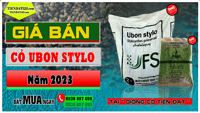 Cập nhật giá cỏ ubon stylo năm 2023
