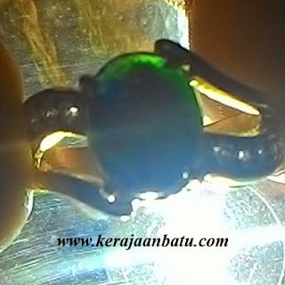 BACAN DOKO FOR LADIES KODE KB105