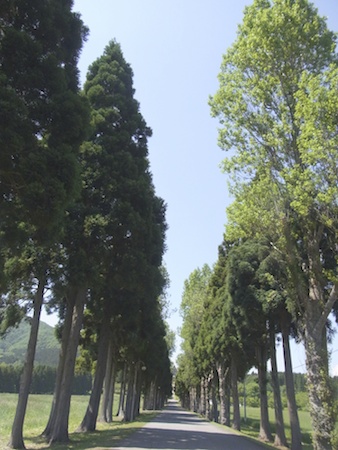 20120627-RIMG0377A.jpg