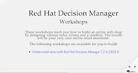 decision manager workshops