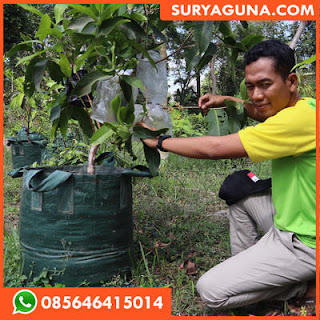 planter bag dari suryaguna 085646415014