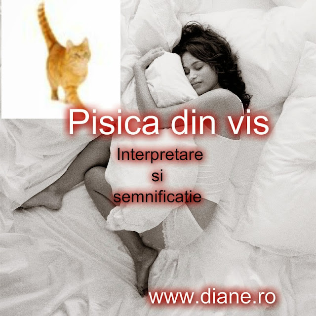 Pisica Din Vis Interpretarea Si Semnificatia Viselor Diane Ro