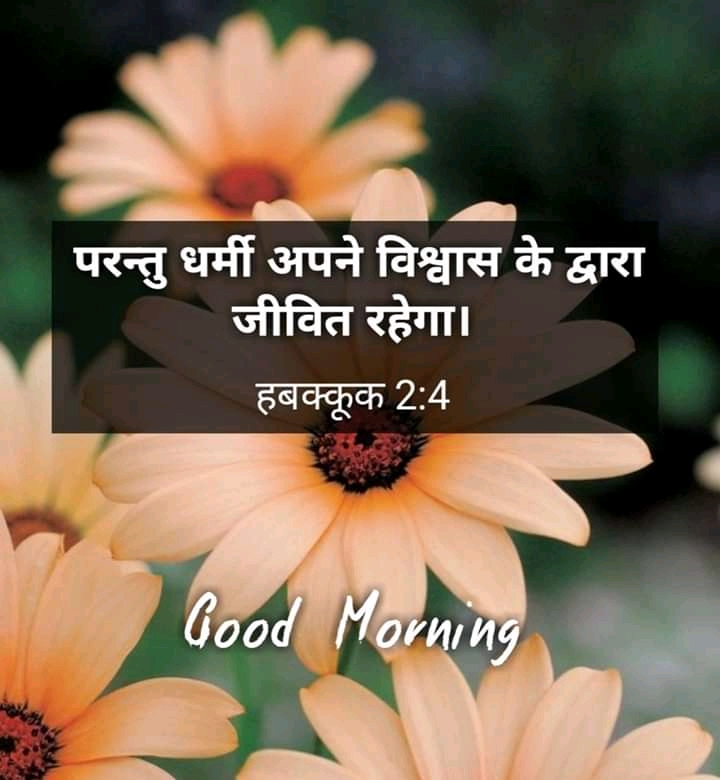 बाइबल चयनित वर्सेज इमेजेस | Good Morning Bible Verse Quotes In Hindi