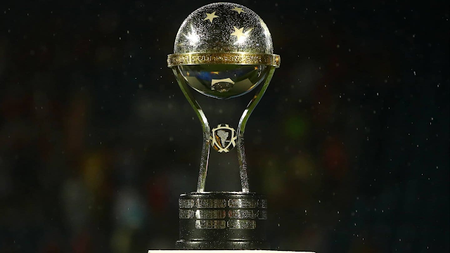 La Copa Sudamericana: 20 años y contando de 'La Otra Mitad de la Gloria'