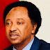 Shehu Sani hails Ngige for allowing his daughter study in Nigeria, mocks other leaders
