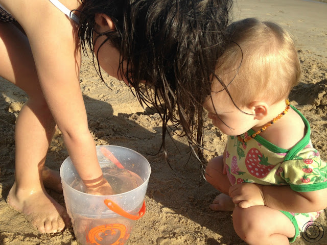 rock pool fun