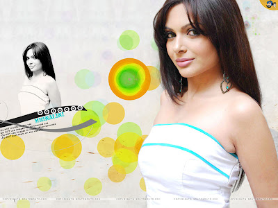 Bollywood - Mrinalini Sharma Wallpaper 