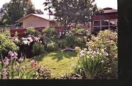 summer garden