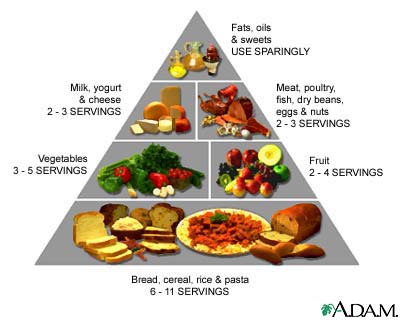 fletexofich: mexico food guide pyramid