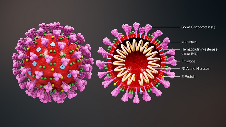 Hasil Riset: Virus Corona Covid-19 ternyata Bermutasi, dan Kini Lebih Agresif, naviri.org, Naviri Magazine, naviri