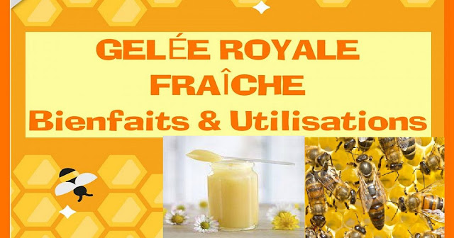 Gelée royale fraîche, comment bien l'utiliser?