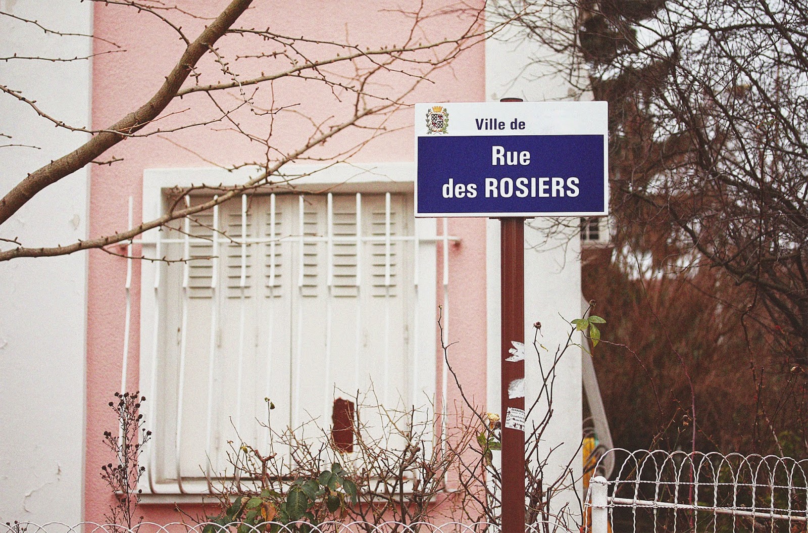 http://rosemademoiselle.blogspot.com/2015/01/la-rue-des-rosiers.html