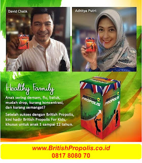 Kegunaan-British-Propolis-Kids-Jual-British-Propolis-Anak-Distributor-British-Propolis-Agen-British-Propolis