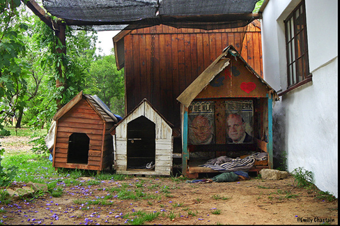 Dog-House-amarjits (5)