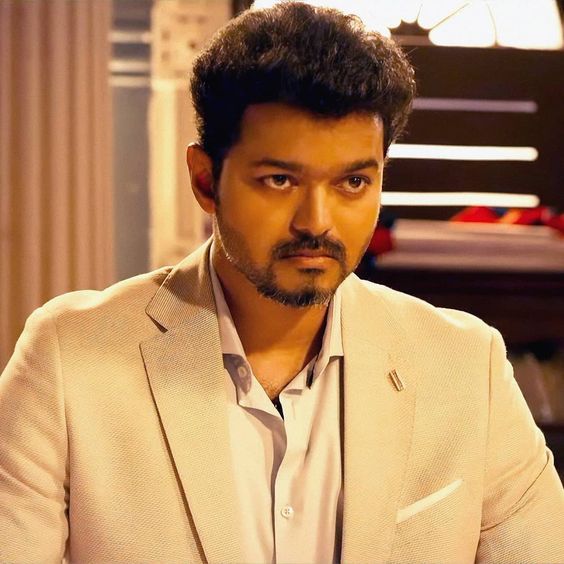 Vijay In Sarkar