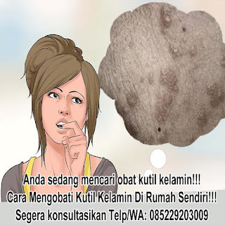 Obat Kutil Kelamin