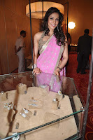 Isha, Koppikar, In, A, Pink, Saree