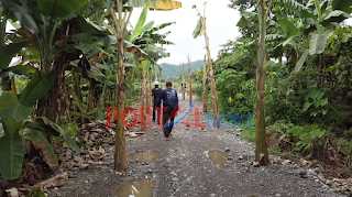 Warga Tanam Pohon Pisang di Jalan