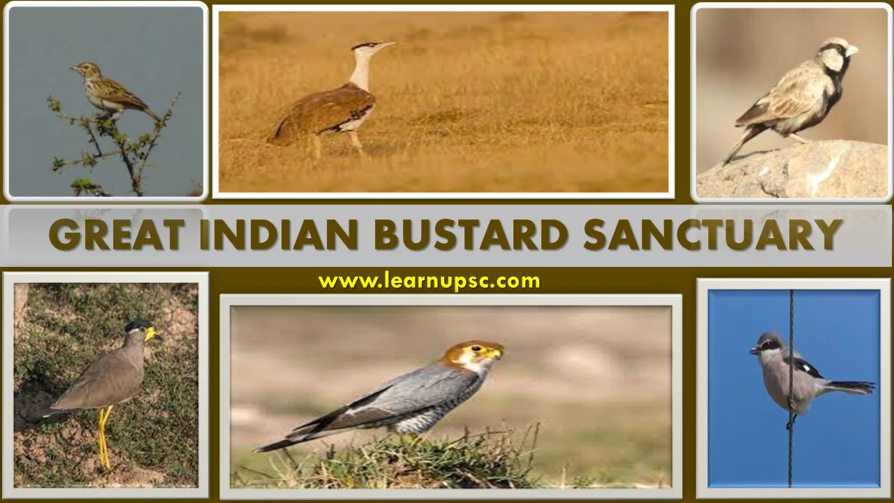 Great Indian Bustard Sanctuary
