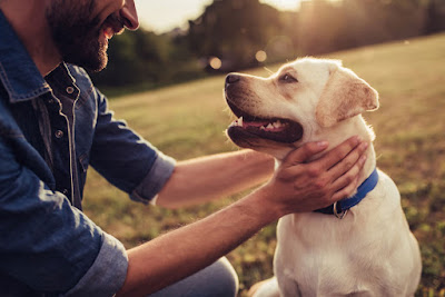 training your dog to come on command