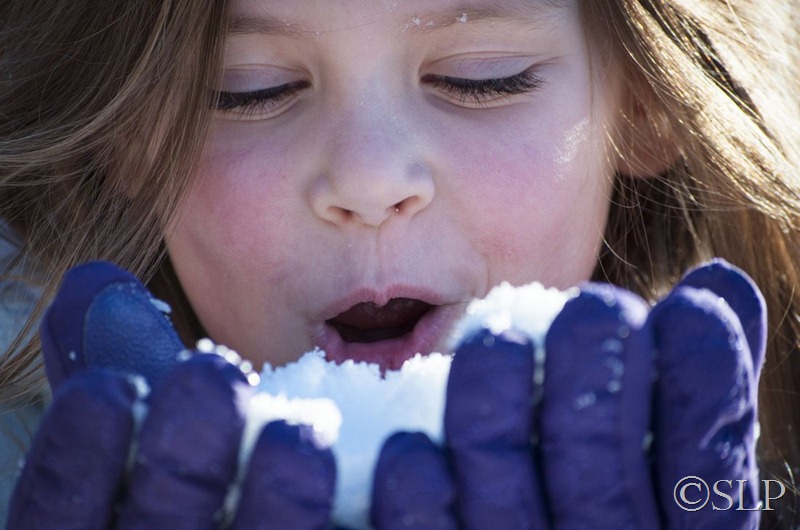 January 2013-snow-1-web