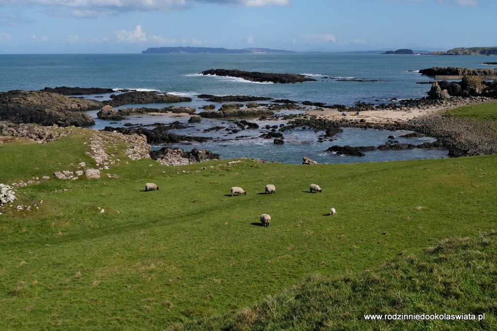 Irlandia-Północna-z-dziećmi-atrakcje