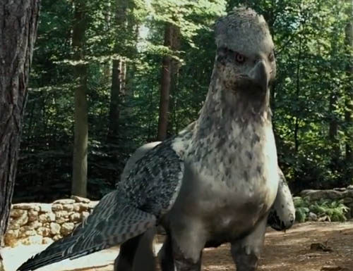 hippogriff