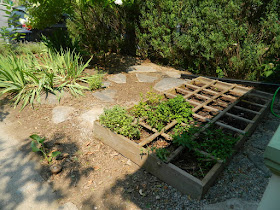 Toronto The Pocket front garden cleanup after by Paul Jung Gardening Services