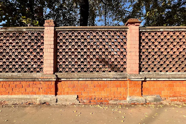 Рубцовско-Дворцовая улица, Детская городская клиническая больница святого Владимира, забор