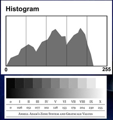 Histogram