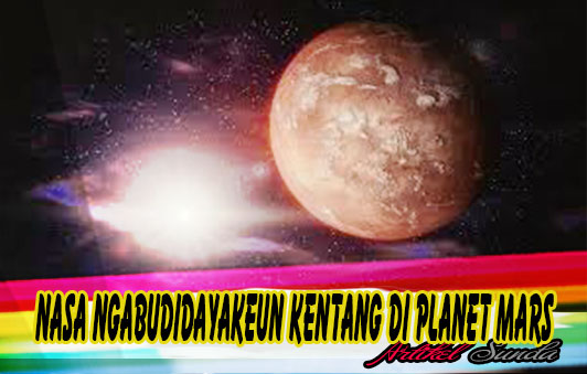 Artikel Berita SAINS Sunda, Budidaya Kentang Di MARS 