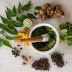 How Herbal Medicines now and then?