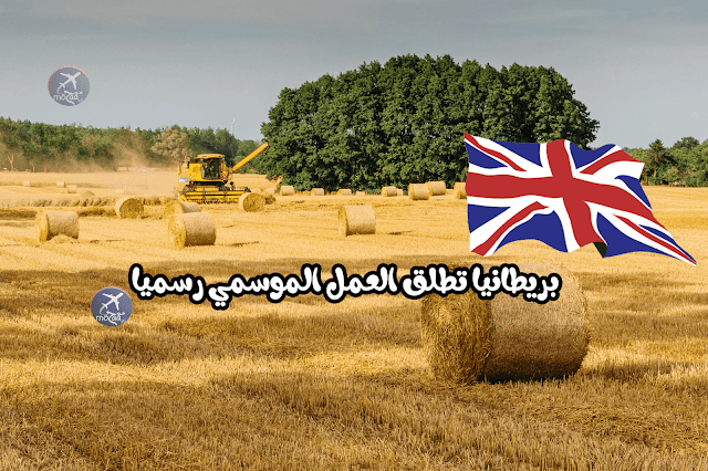 بريطانيا تطلق برنامج العمل الموسمي للعمل في مزارع بريطانيا