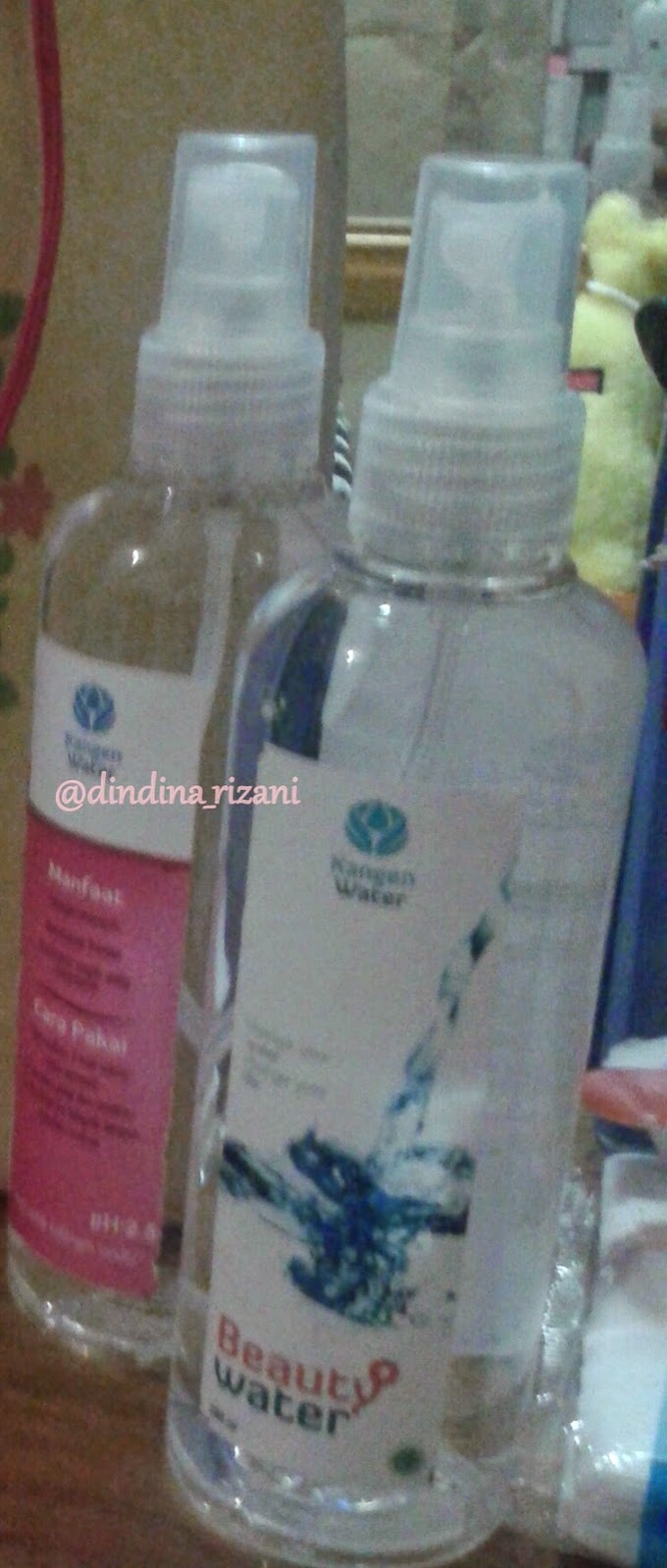 Kangen Water (Review)